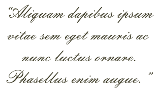 “Aliquam dapibus ipsum  vitae sem eget mauris ac  nunc luctus ornare.  Phasellus enim augue.”